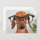 Carte Postale Dachshund Dans Les Lunettes De Vue (Devant / Derrière)