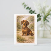 Carte Postale Dachshund de style vintage (Debout devant)