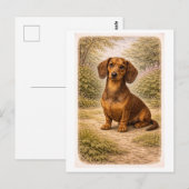 Carte Postale Dachshund de style vintage (Devant / Derrière)