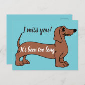 Carte Postale Dachshund doux vous me manquez, c'est trop long ca (Devant / Derrière)