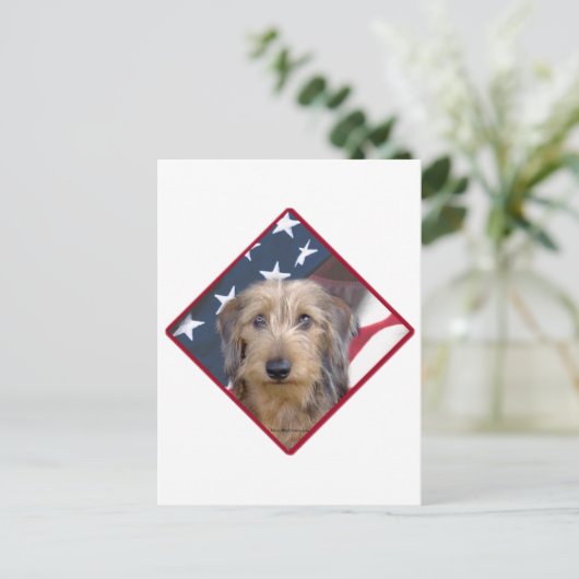Carte Postale Dachshund Drapeau 2 (Debout devant)