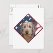 Carte Postale Dachshund Drapeau 2 (Devant / Derrière)