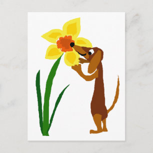 Carte Postale Dachshund drôle Odeur Daffodique Jaune