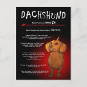 Carte Postale Dachshund en 3D (Devant)