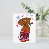 Carte Postale Dachshund en short cœur rose (Debout devant)