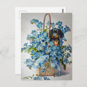 Carte Postale Dachshund et Forget-Me-Nots (Devant / Derrière)