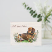 Carte Postale Dachshund in Wildflowers Hello From Postcard (Debout devant)