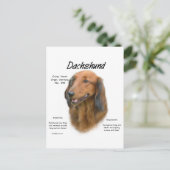Carte Postale Dachshund (longhair) Conception de l'histoire (Debout devant)