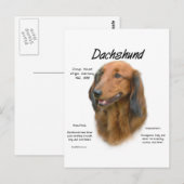 Carte Postale Dachshund (longhair) Conception de l'histoire (Devant / Derrière)