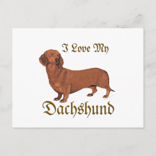 Carte Postale Dachshund Love