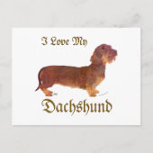 Carte Postale Dachshund Love (Devant)
