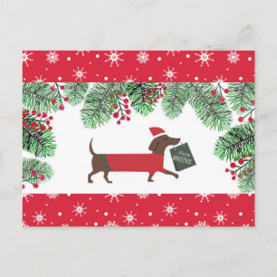 Carte Postale Dachshund Noël Chien Mignon Flocons de Neige Houx