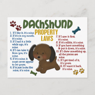 Carte Postale Dachshund, propriété Lois 4