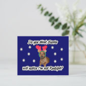 Carte postale Dachshund Reindeer (Debout devant)