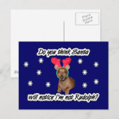 Carte postale Dachshund Reindeer (Devant / Derrière)