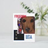 Carte Postale Dachshund Rouge (Debout devant)