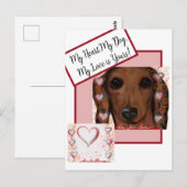 Carte Postale Dachshund rouge   (Devant / Derrière)