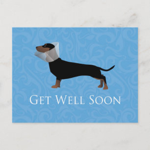 Carte Postale Dachshund S'Améliorer Bientôt Design