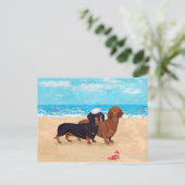 Carte Postale Dachshunds à la plage (Debout devant)