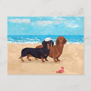 Carte Postale Dachshunds à la plage