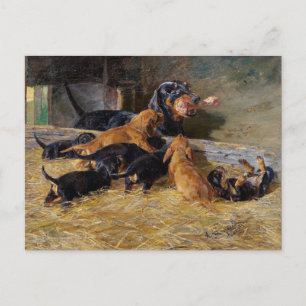 Carte Postale Dachshunds avec chiots dans l'écurie Hermine Biede