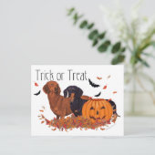 Carte Postale Dachshunds Halloween (Debout devant)