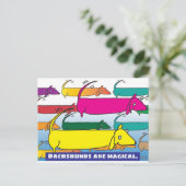 Carte Postale Dachshunds magic (Debout devant)