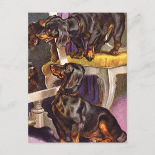 Carte Postale Dachshunds regardant dans le miroir Cadeaux d'Art 