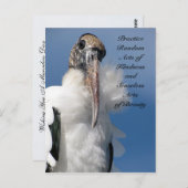 Carte postale d'actes de gentillesse aléatoires -  (Devant / Derrière)