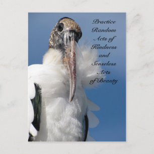 Carte postale d'actes de gentillesse aléatoires -