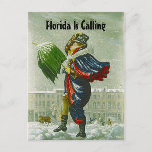 CARTE POSTALE D'ADRESSE D'HIVER DU FAIRE-PART DU