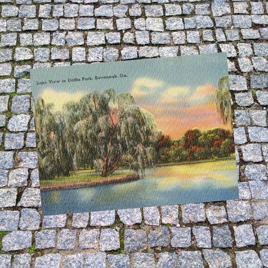 Carte Postale Daffin Park Lake View Savannah GA rétro