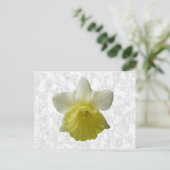 Carte postale Daffodil (Debout devant)