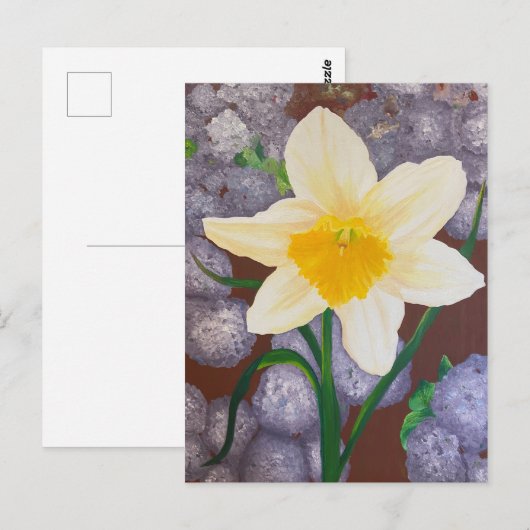 Carte Postale Daffodile (Devant / Derrière)
