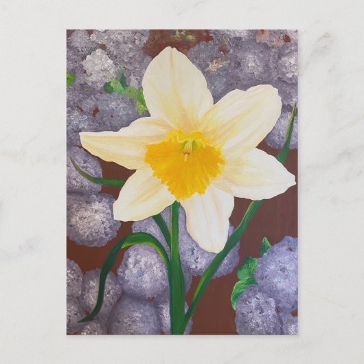 Carte Postale Daffodile (Devant)