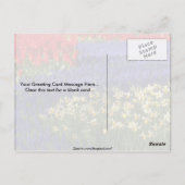Carte Postale Daffodiles, hyacinthe et tulipes (Dos)