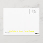 CARTE POSTALE DAFFODILS (Dos)
