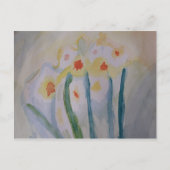 Carte postale Daffodils Abstraits (Devant)