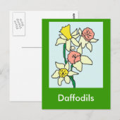 Carte Postale Daffodils, Daffodils (Devant / Derrière)