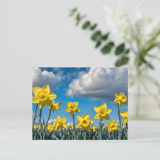 Carte Postale Daffodils Dancing (Debout devant)