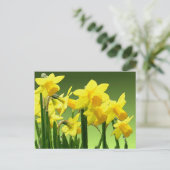 Carte Postale DAFFODILS DU PRINTEMPS par SHARON SHARPE (Debout devant)