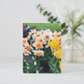 Carte Postale Daffodils et tulips, Oregon (Debout devant)