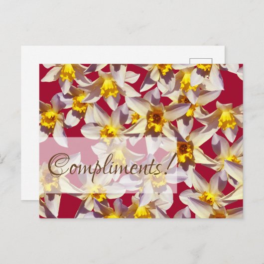 Carte Postale Daffodils floral Custom Grey Card (Devant / Derrière)