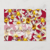 Carte Postale Daffodils floral Custom Grey Card (Devant)