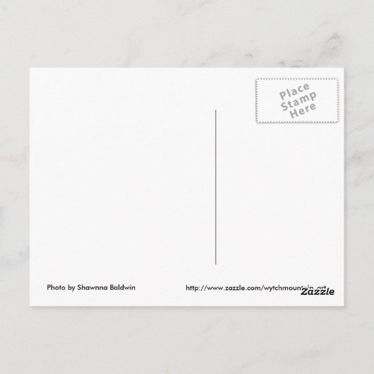 Carte postale Daffodique (Dos)