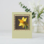 Carte Postale Daffodique de printemps (Debout devant)