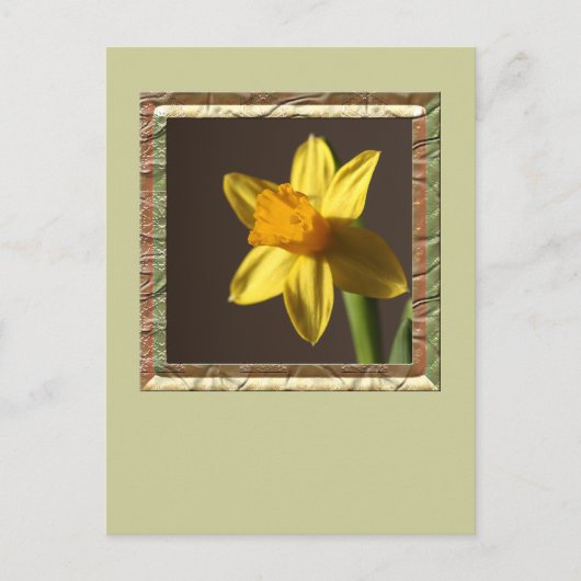 Carte Postale Daffodique de printemps (Devant)