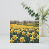 Carte postale Daffodiques (Debout devant)