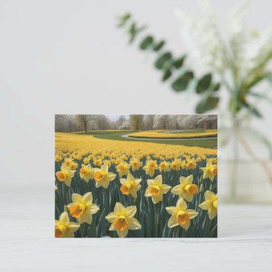 Carte postale Daffodiques (Debout devant)