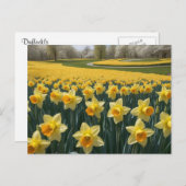 Carte postale Daffodiques (Devant / Derrière)